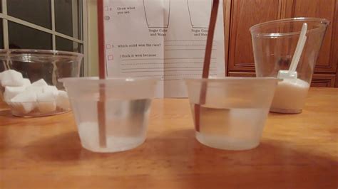 Sugar Cube Vs Sugar Grains Dissolving Experiment Youtube