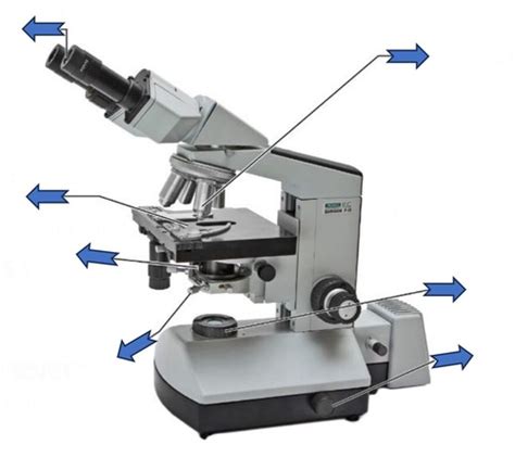 Chapter 3 Microscopy Part A Flashcards Quizlet