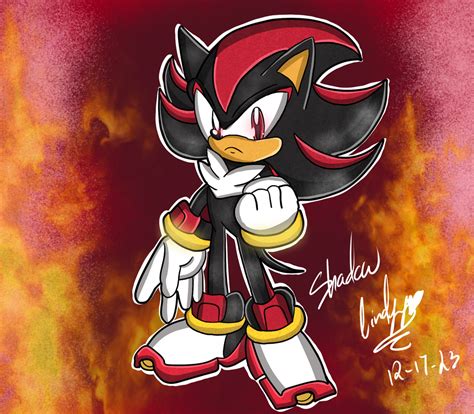 Shadow The Hedgehog 2023 by DekuQueen01 on DeviantArt