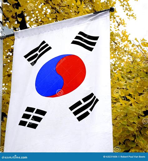 The National Flag Of South Korea Stock Photo Image Of Flag Blue