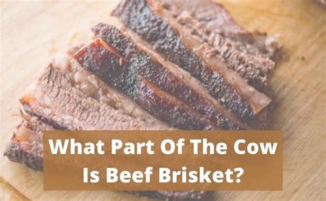 What Part Of The Cow Is Beef Brisket Foodsalternative