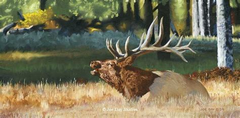 Oil Painting Of Elk In The Rocky Mountain Park Artist Joe Day