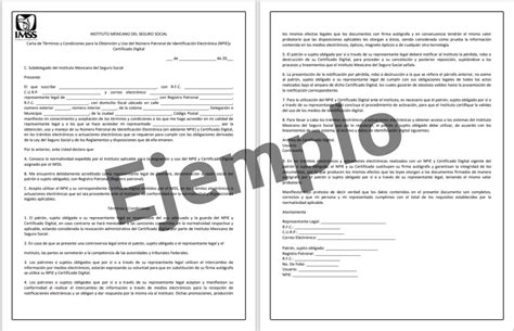 Carta de Términos y Condiciones IMSS En PDF y Editables