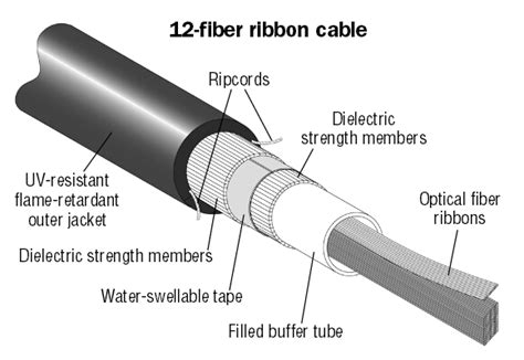 The Ribbon Fiber Optic Cable Options For Local Area Networks And Data