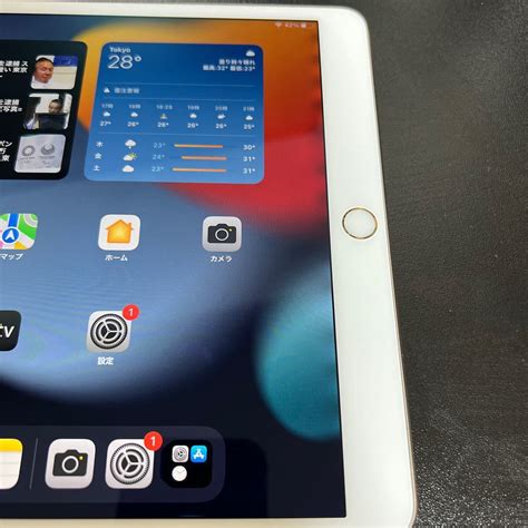 Ipad Pro Wi Fi Cellular Sim Gb Applepaypay