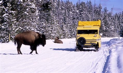 West Yellowstone Montana Snow Coach Winter Tours AllTrips