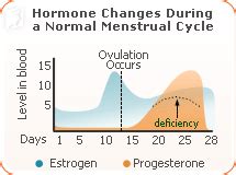 Menstrual Cycle Mood Swings Chart