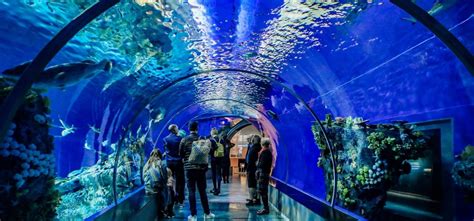 Antalya Aquarium Tour From Alanya World S Biggest Aquariums