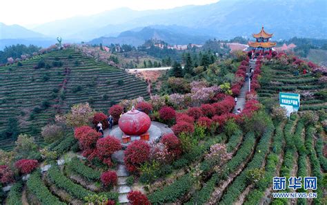 桂东县旅游景点介绍 旅游景点介绍 旅游景点介绍t 大山谷图库