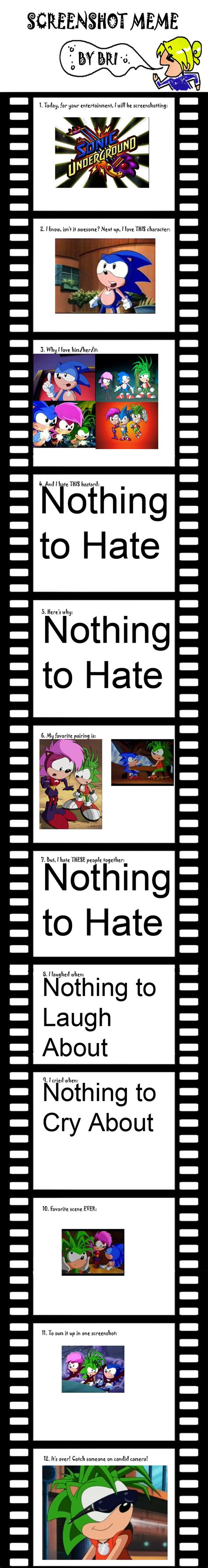 Sonic Underground Screen Meme by tanlisette on DeviantArt