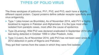 Polio vaccine | PPT