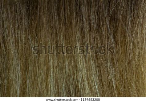 Dark Blonde Hair Texture Stock Photo Shutterstock