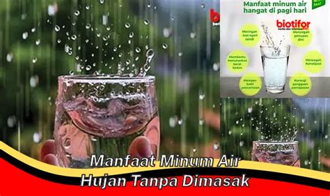 Temukan Rahasia Manfaat Minum Air Hujan Tanpa Direbus Yang Jarang