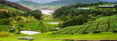 Ooty Tour Packages | Explore the Queen of Hill Stations | ITH