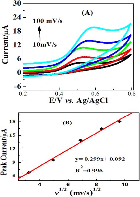 A Effect Of The Scan Rate Mv S On The Cyclic Voltammogram