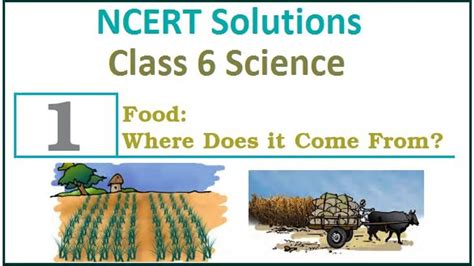 NCERT Class 6 Science Solutions Chapter 1 Food Where Does It Come From