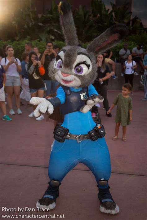 Disney World Pictures Disney World Characters Judy Hopps Hollywood