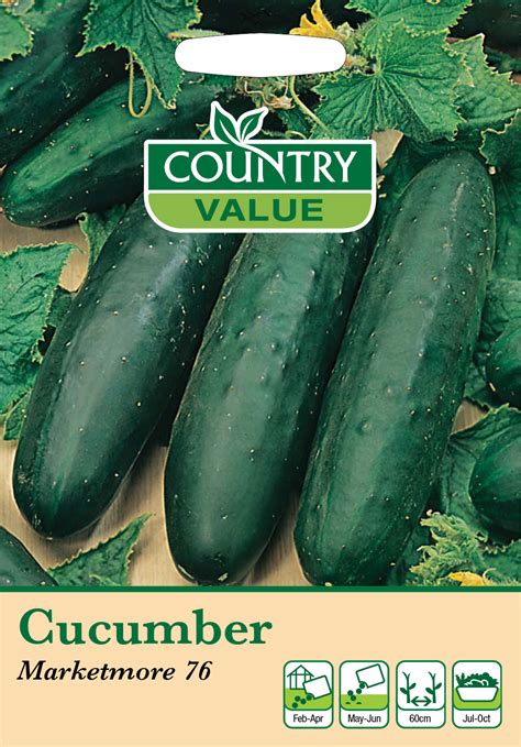 Cucumber Marketmore 76 Plants Galore