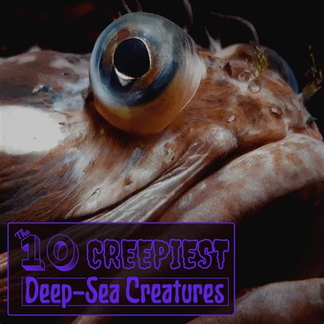 The Top 10 Creepiest Deep Sea Creatures Owlcation