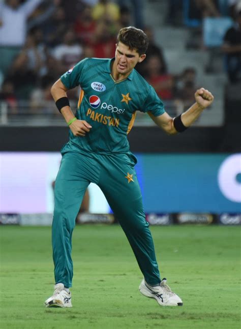 ﻿shaheen Afridi Shines As Pakistan Clinch T20i Series Against New