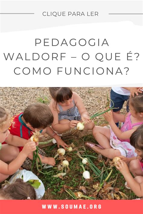 Pedagogia Waldorf O Que Como Funciona Pedagogia Waldorf Planos