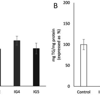 Triglyceride Accumulation A And Cell Viability B In T L Mature