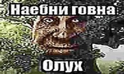 ВОНЮЧКИ - Summary - DOTABUFF - Dota 2 Stats