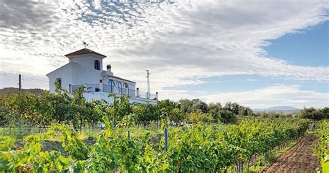 Diez Días de Marzo Bodega Vilaplana