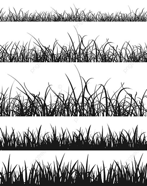 Grass And Lawn Silhouette Set Foliage Seedlings Foreground PNG And