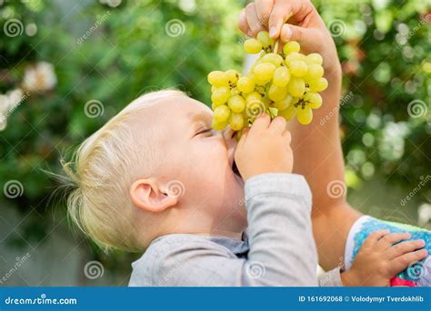 Boy Eating Grapes Outdoor Happy Moments Child Care International