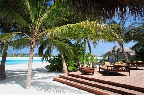 Wallpaper Sea Beach Palm Trees Swimming Pool Resort Caribbean