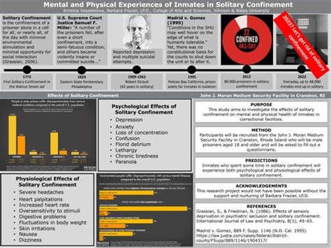 The Mental and Physical Experiences of Inmates in Solitary Confinement ...