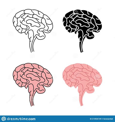 Vista Lateral Del Cerebro Humano Sano Ilustración del Vector