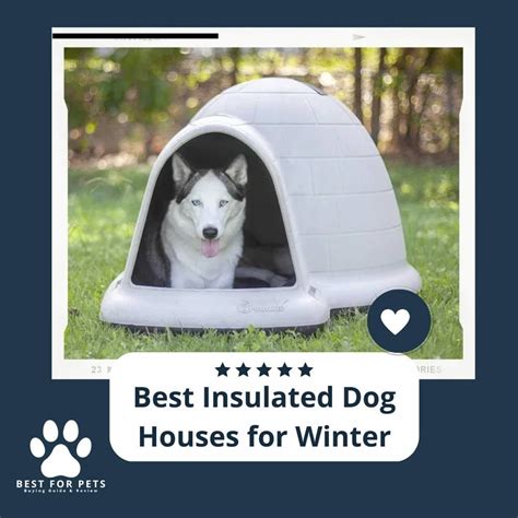 The 6 Best Insulated Dog Houses For Winter - BestForPets.org