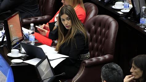 Diputados AprobÓ Por Unanimidad La Ley Impositiva Anual CuÁnto