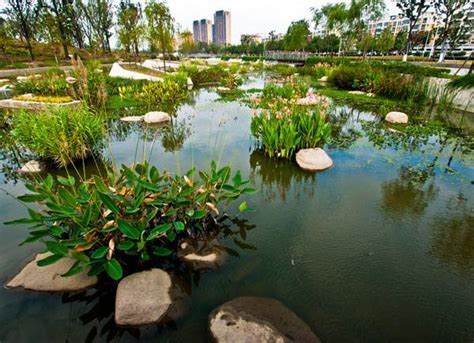 Lotus Lake Park Sets Precedent For Sustainable Urban Design In China Land8