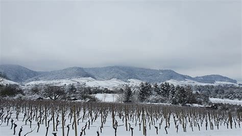 Hiver Vignes Photo Gratuite Sur Pixabay Pixabay