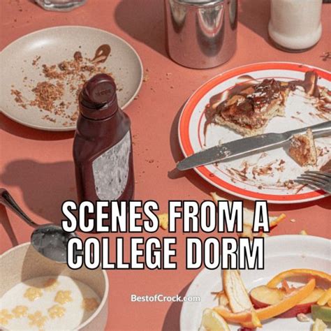 Funny Back to School Memes About Food - Best of Crock