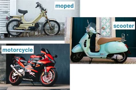 Moped Vs Scooter Vs Motorcycle ULTIMATE Comparison