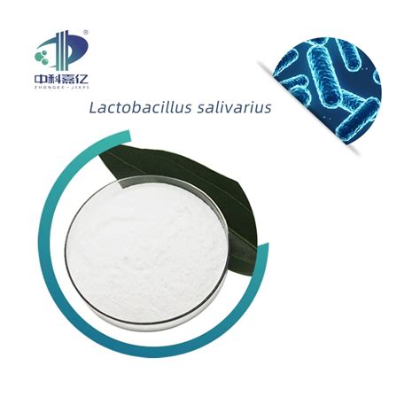 High Activity Lactobacillus Salivarius Probiotic Powder Digestive