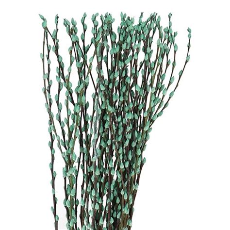 PUSSY WILLOW DYED MINT GREEN 90cm Wholesale Dutch Flowers Florist Supplies UK