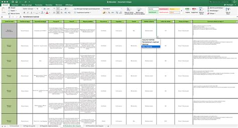 Exemples De Documents Uniques Au Format Excel Evaluation Des Risques