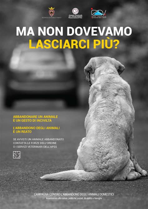 Ma non dovevamo lasciarci più la campagna contro l abbandono degli