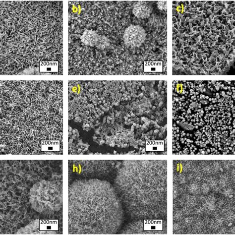 Theoretical Compositions Of Mesoporous Bioactive Glass Nanoparticles Download Scientific