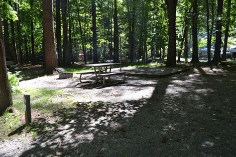 Camperedge Cataloochee Campground 21