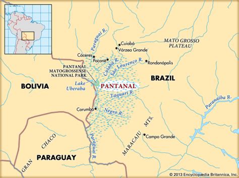 Pantanal - Kids | Britannica Kids | Homework Help