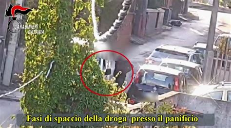 Ordinavano Cocaina Al Panificio Arresti A Catania Amnotizie It