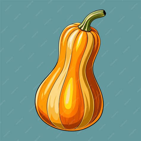 fresh butternut squash vegetable clip art design premium ai generated