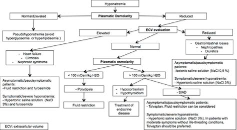 Hyponatremia Management Algorithm 3844 48 The Correct Management Of