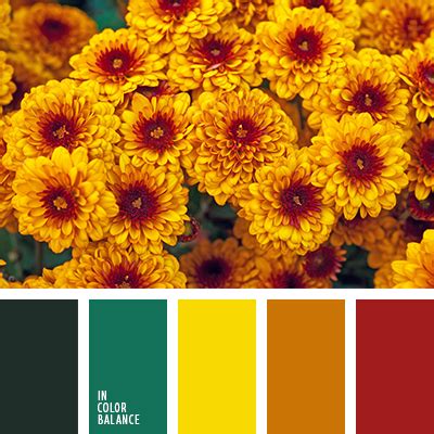 оранжевый и цвет тыквы | IN COLOR BALANCE